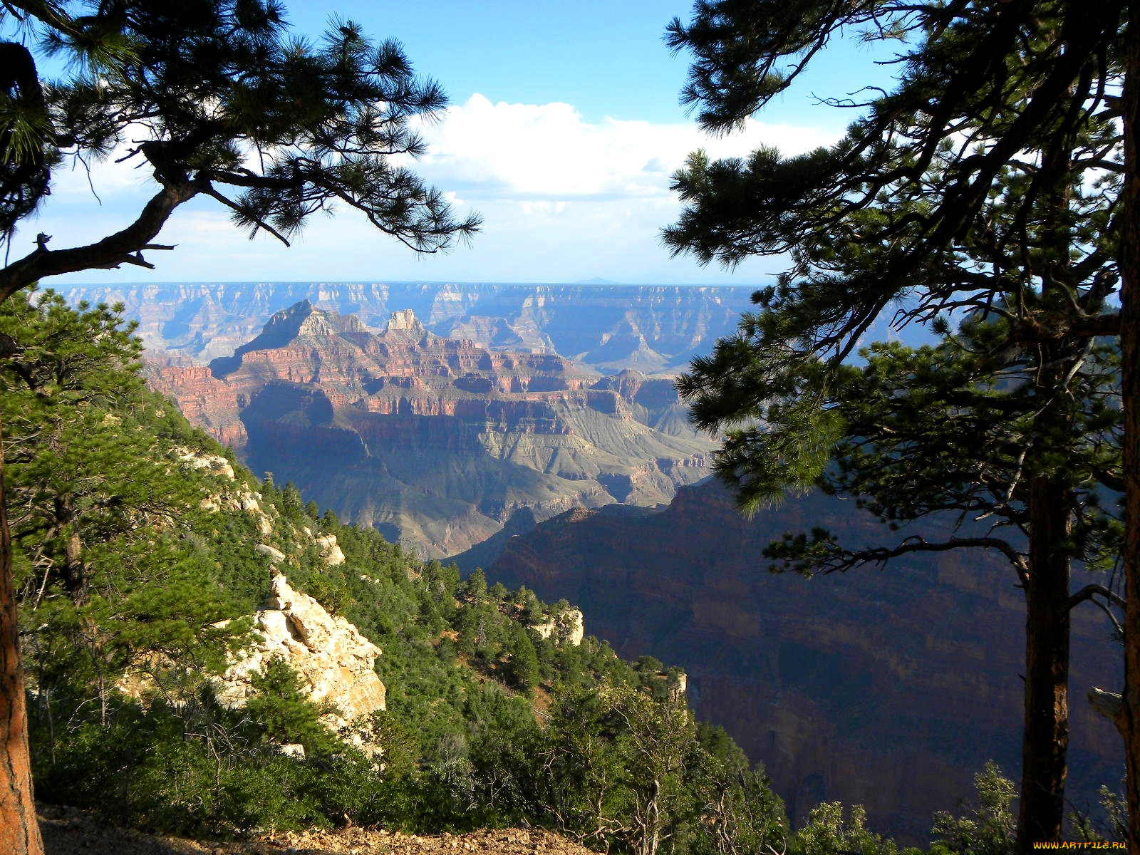grand, canyon, the, north, rim, , , 
